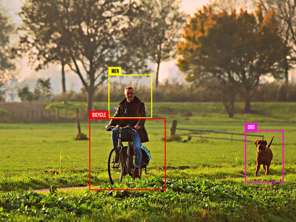 Image-classification-machine-learning